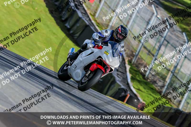 Oulton Park 20th March 2020;PJ Motorsport Photography 2020;anglesey;brands hatch;cadwell park;croft;donington park;enduro digital images;event digital images;eventdigitalimages;mallory;no limits;oulton park;peter wileman photography;racing digital images;silverstone;snetterton;trackday digital images;trackday photos;vmcc banbury run;welsh 2 day enduro